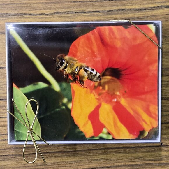 Five Boxes of Blank Notecards with Bees (12 to a box, 60 cards total) - Picture 8 of 11